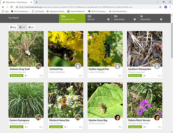 iNaturalist