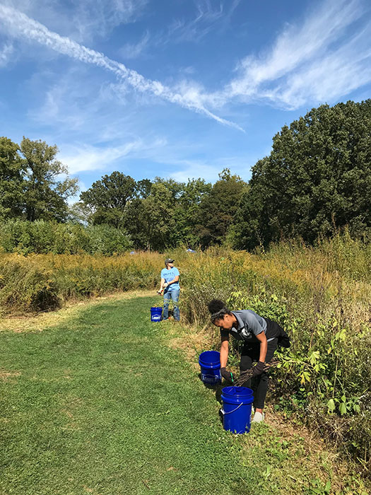 Volunteers at Whetstone Prairie. Photos courtesy of Columbus Recreation and Parks Department.