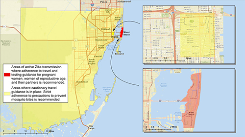 Preventing the Spread of Zika through Mosquito Control