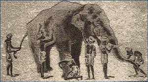 Blind men and elephant