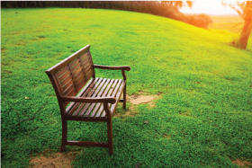 Blog-Park-as-Family-bench