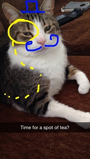 snapchat_cat