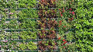 Be Inspired 2016 PA Philadelphia Living Wall