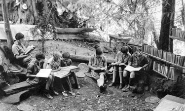 people reading books in the outdoors