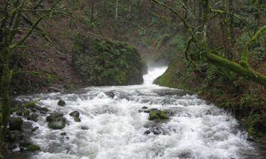 Richard J. Dolesh, NRPA's vice president of conservation and parks, shares his thoughts on the critical importance of water to parks, communities and life itself.