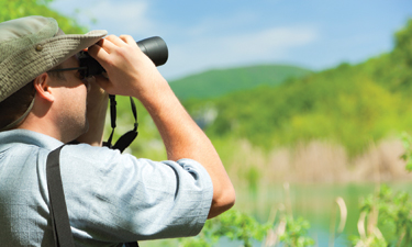 How and why emotional connections to wildlife contribute to effectively managing parks and open space.