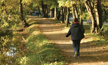 New signage and maps improve trail/park accessibility.