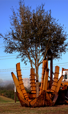 The City of Houston and an energy company are growing Houston together.