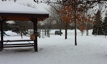 A Minnesota dog park makes accommodations for special-needs canines.