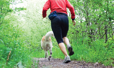 When a law enforcement officer detains a leash law violator in a California park, what legal options does she have to detain him?