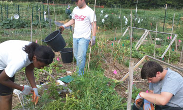 Young participants in the City Beets Youth Program offered by Ohio’s Five Rivers Metro Parks learn about agriculture and nutrition in a hands-on community garden. 