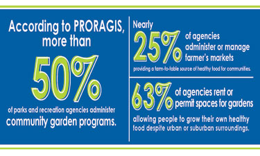 Community gardens are becoming a common feature at an increasing number of parks and recreation areas.