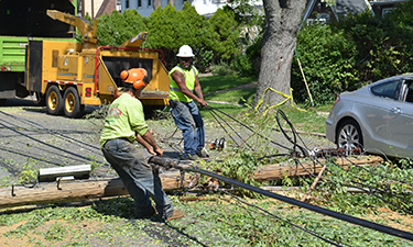 NYC Parks staff and municipal workers clear debris after a severe storm caused extensive neighborhood damage.