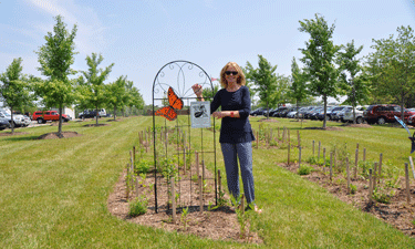 Barbara Tulipane, CAE, NRPA's President and CEO.