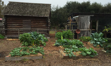 Through its Urban Agriculture Program, the city of St. Cloud Parks and Recreation Department is working to get the community more involved in agriculture and gardening.