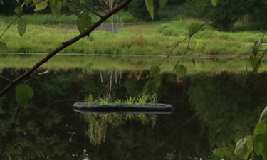 The NRPA Green Team worked with Eagle Scout candidate Jared Carey and his local Scout Troop 2970 to install floating wetlands in the pond at NRPA’s headquarters in Ashburn, Virginia.