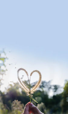 Project Valentine, a community outreach program offered by Cherokee Recreation and Parks Agency in Woodstock, Georgia, provides small gift bags to individuals with special needs for Valentine's Day.