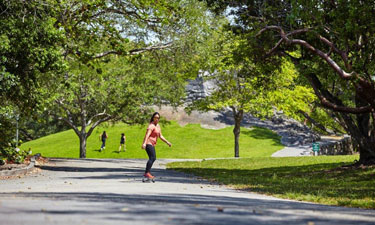 Advances in park and urban planning strategies are moving parks away from being use-specific to being connected systems that serve as infrastructure that supports a community's health and well-being.